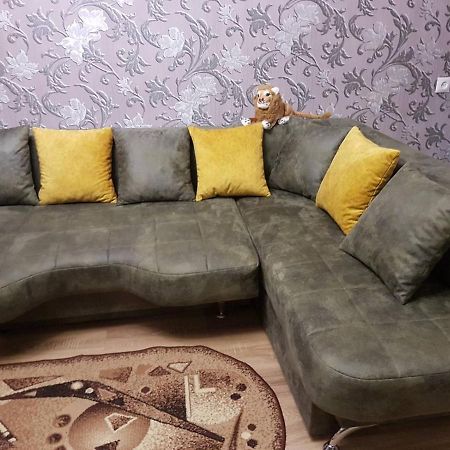 Khmelʼnytsʼkyy2Х Комнатная С Ремонтом В Центре.Renovated, Center公寓 外观 照片